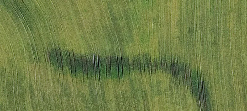Hunting and Farmland Tract