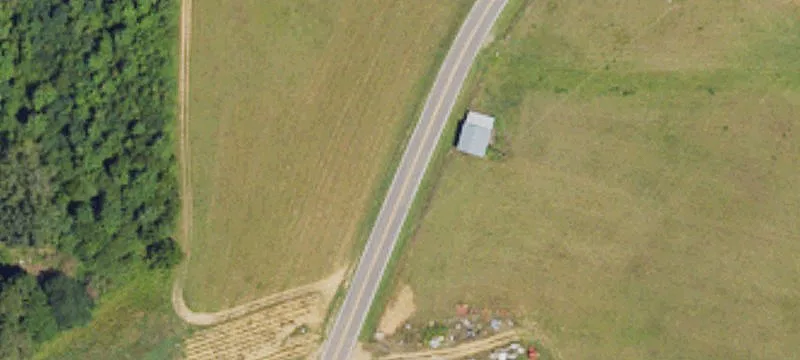 Secluded Timber Tract with Road Frontage