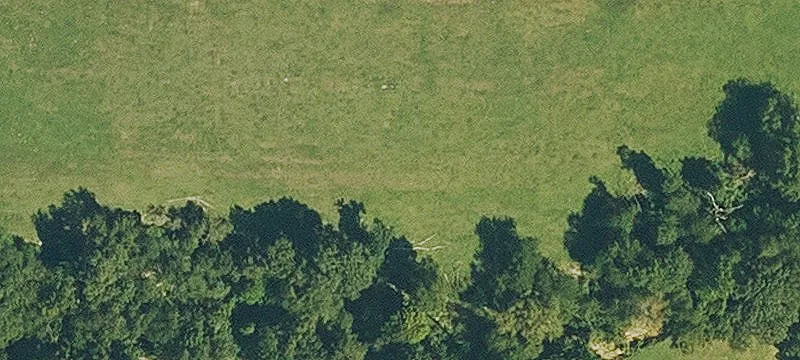 Equestrian and Agricultural Property