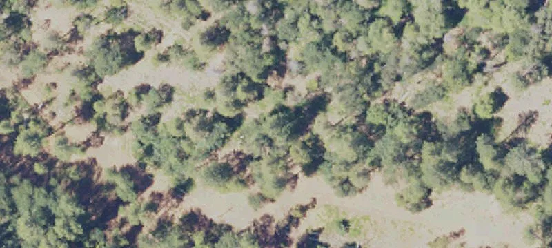 Farmland Parcel with Creek Frontage