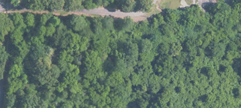 Vacant Lot for Future Development