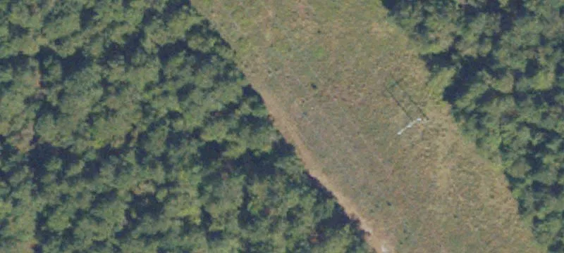 Wooded Recreational & Homesite Tract