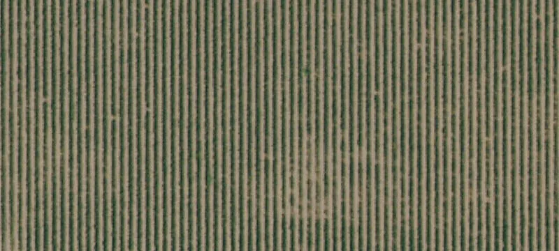 Vineyard Property with Dual Water
