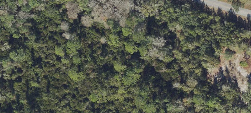 Wooded Land with Paved Road Access