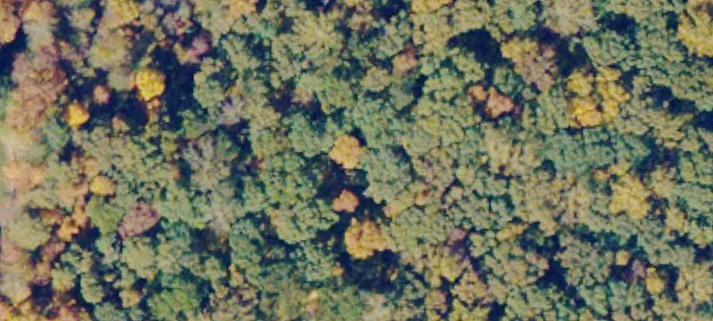 Rural Residential Development Land