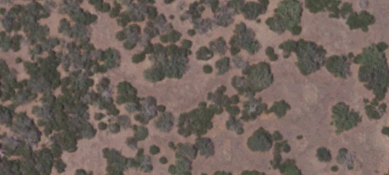Hunting and Ranch Land