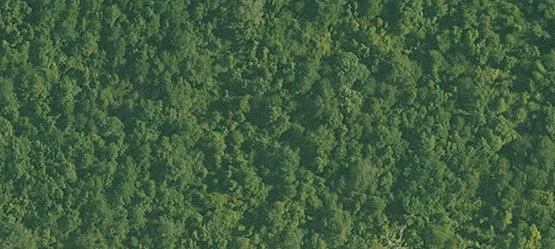 Residential Buildable Land Lot