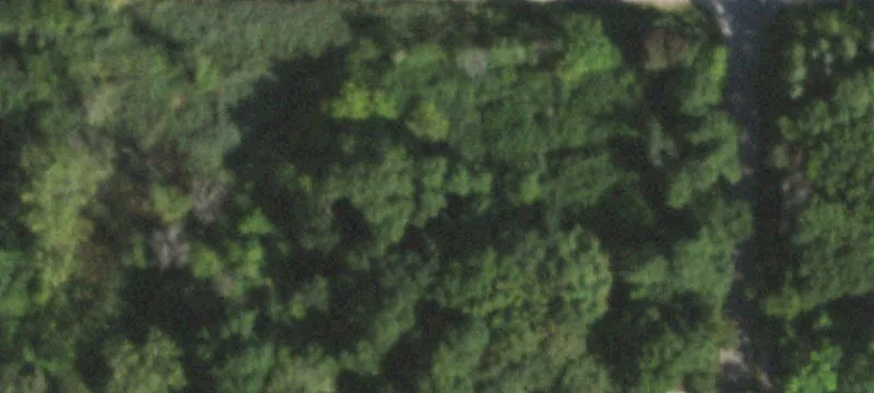 Partially Wooded Homesite Land