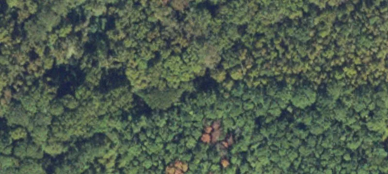 Wooded Residential Acreage Parcel