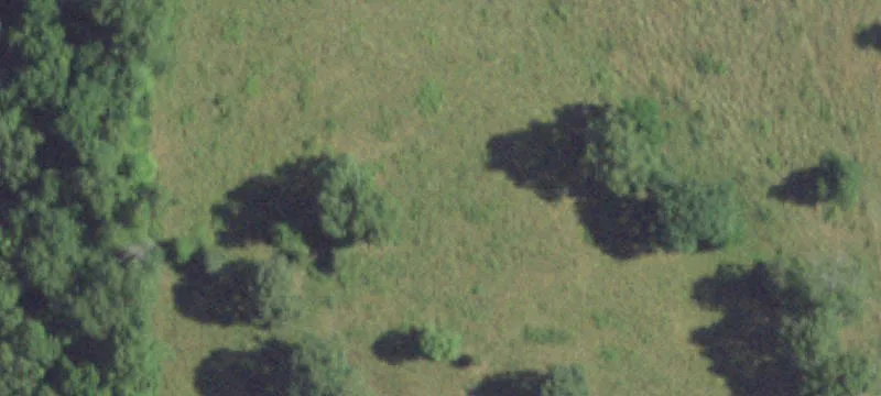 Timbered Recreational Land with Creek