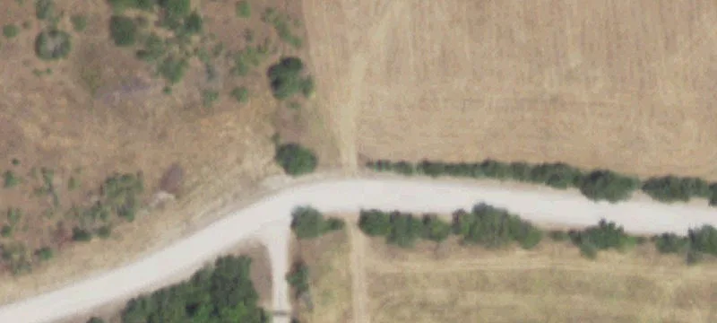 Recreational Hunting Land with Cabin