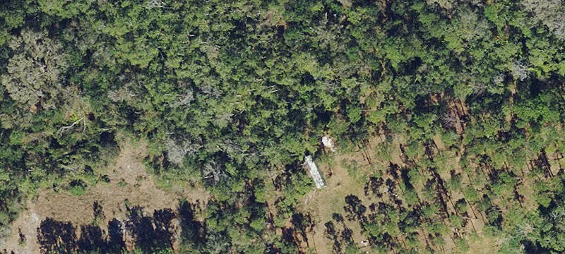 Agricultural Land with Creek