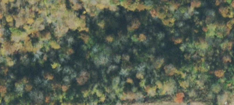 Cleared Residential Building Lot
