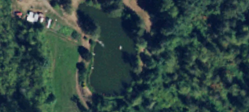 Buildable Forested Parcel
