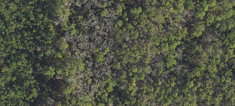 Residential Development Land Lot