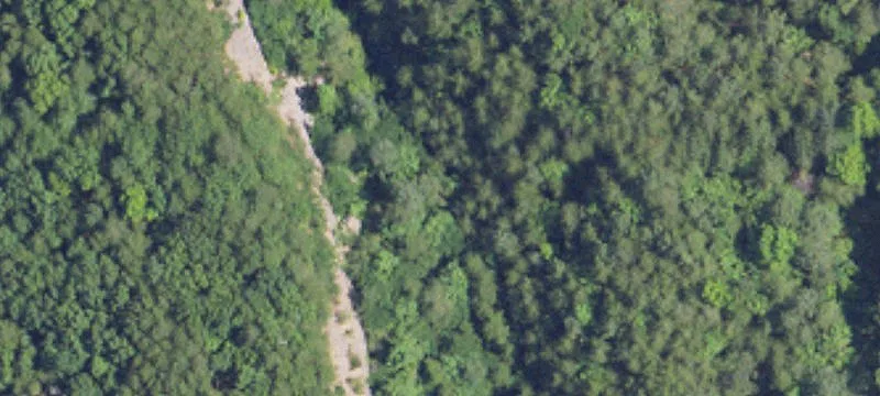 Recreational Land with Timber