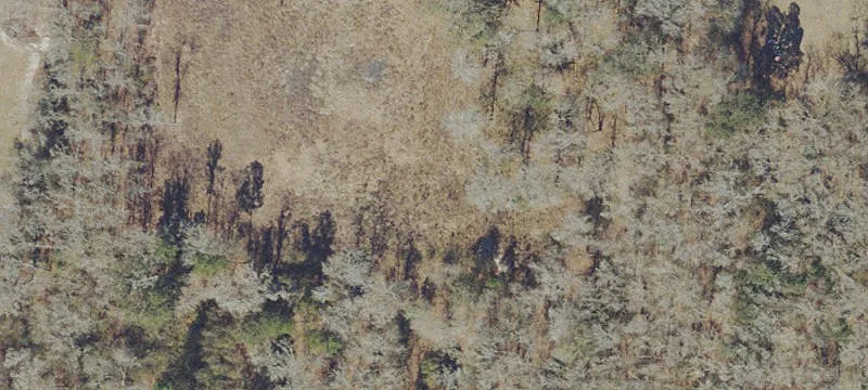 Wooded Residential Development Land