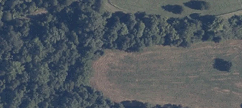 Open Pasture Land Tract