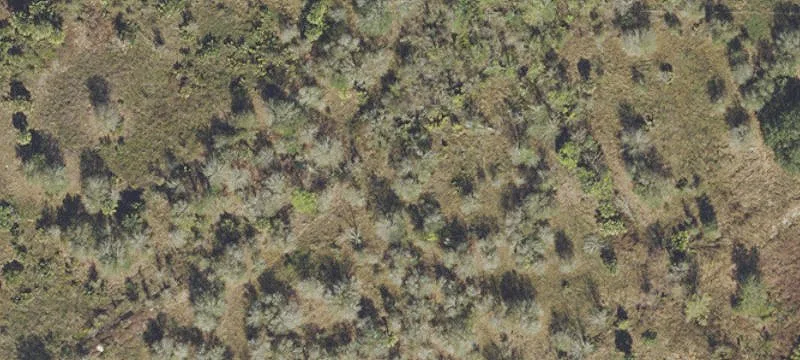 Unimproved Residential Farmland Parcel