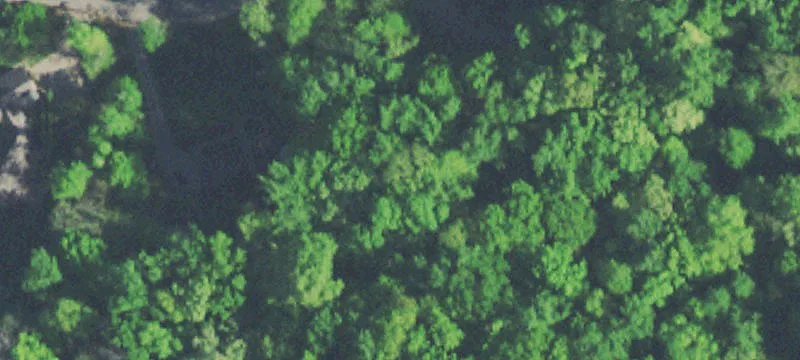 Wooded Corner Home Lot