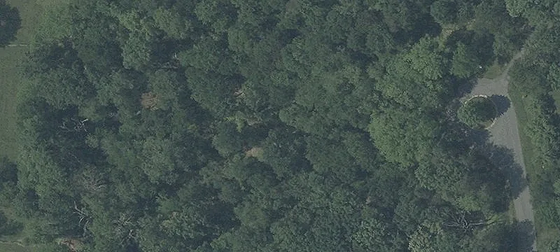 Cul-de-Sac Residential Homesite