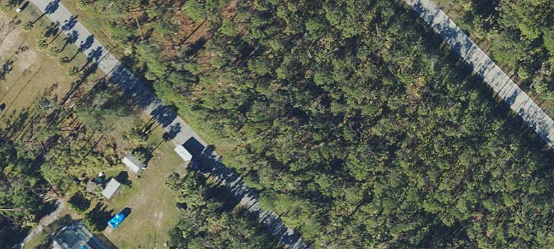 Flat Treed Residential Lot