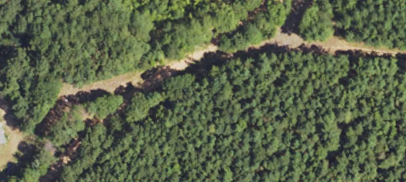Timber and Hunting Land with Creek