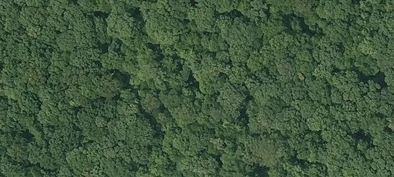 Agricultural Land for Sale