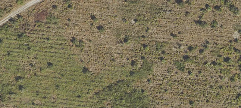 Platted Vacant Development Lots
