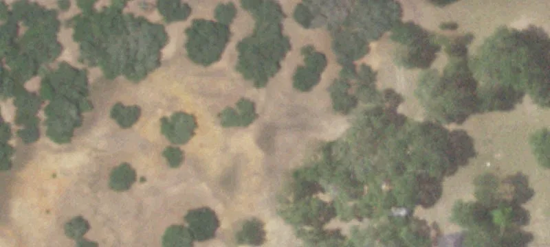 Horse Property with Two Residences