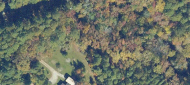 Wooded Waterfront Land Parcel