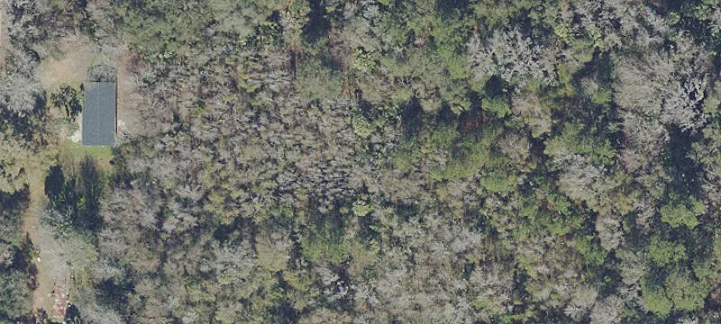 Agricultural Land with Second Residence