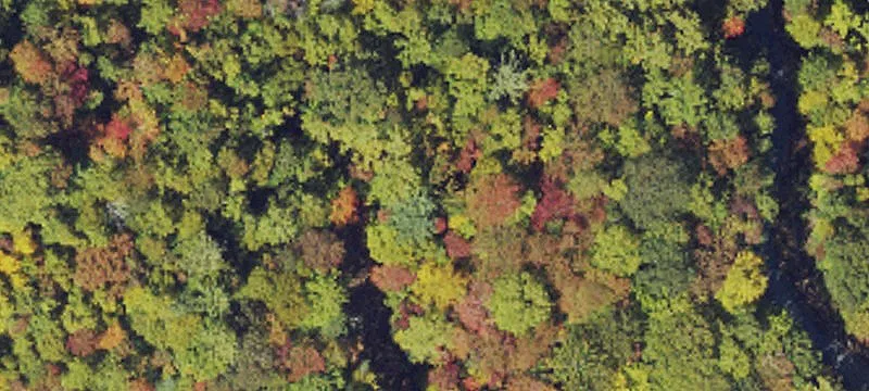 Wooded Mountain View Homesite