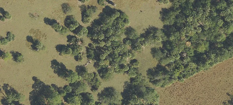Equestrian Property with Riding Arena