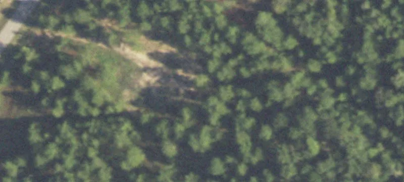 Ready-to-Build Homesite with Mature Trees