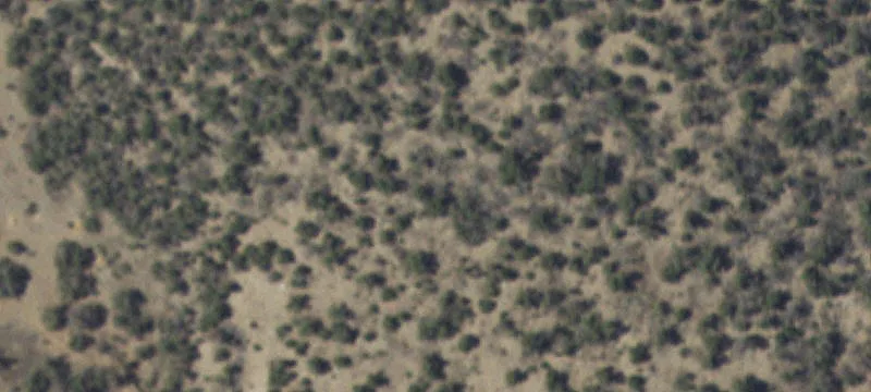Wooded Residential Lot in Gated Community