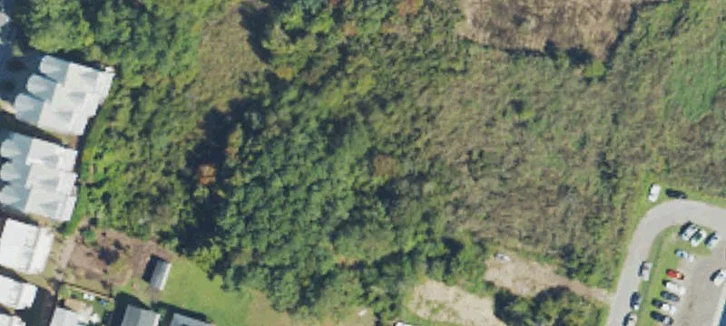 Wooded Coastal Home Lot