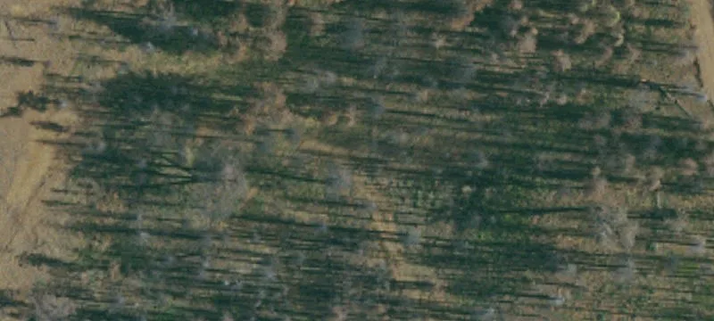 Mountain View Build Site