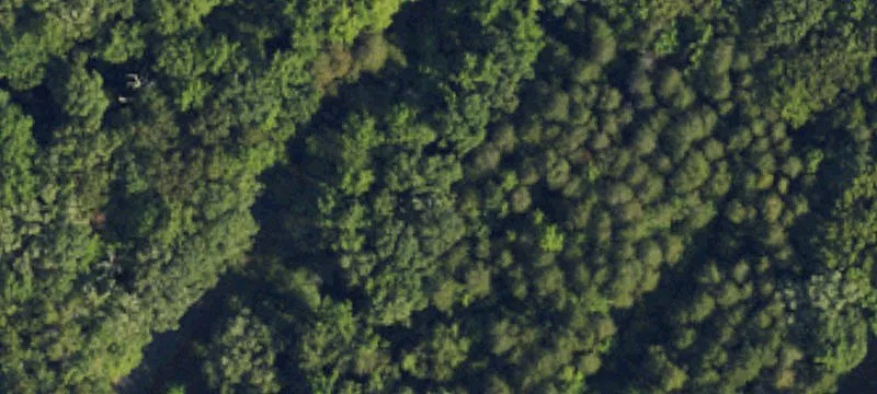 Wooded Residential Acreage with Frontage