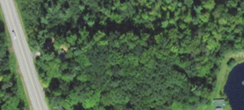 Residential Build Site with Mature Trees