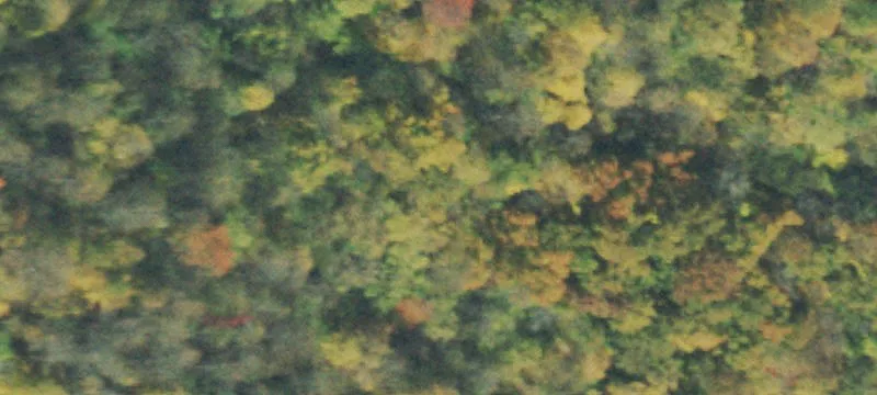 Unrestricted Waterfront Mini-Farm Tract