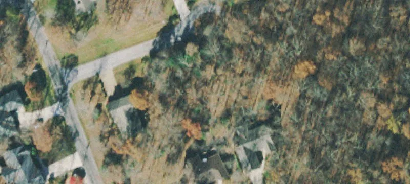 Wooded Residential Buildable Lot