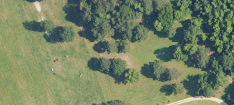 Specialty Land Tract