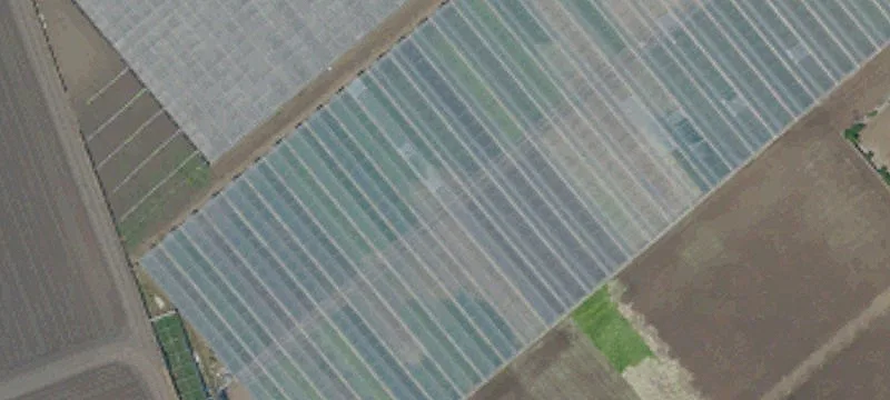 Vegetable Farm Parcel with Greenhouse