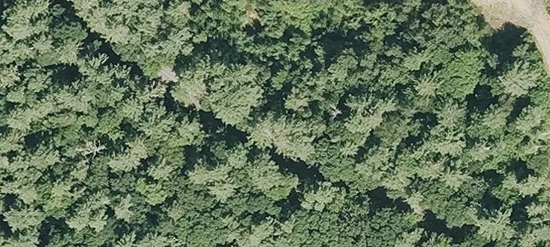 Residential Land Lot Near Center
