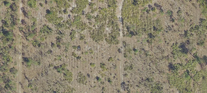 Fenced Agricultural Land Tract