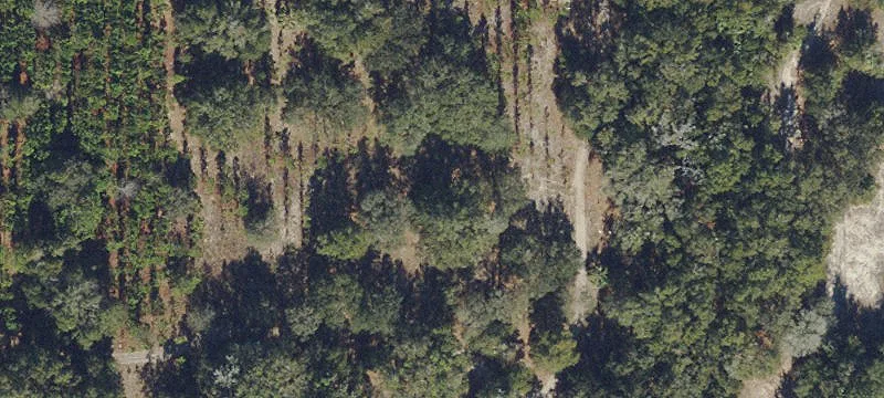 General Commercial Development Land