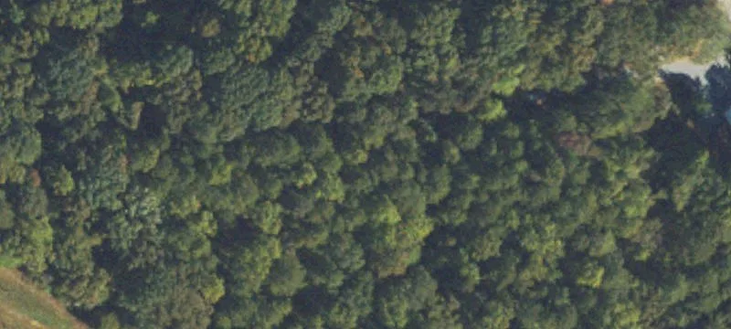 Dividing Wooded Land Parcel