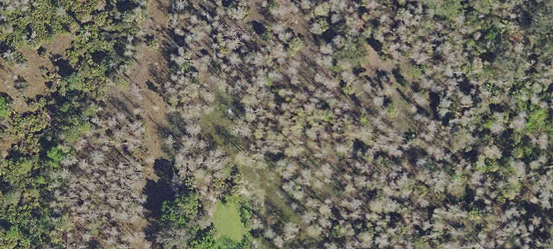 Side-by-Side Ranch Lots