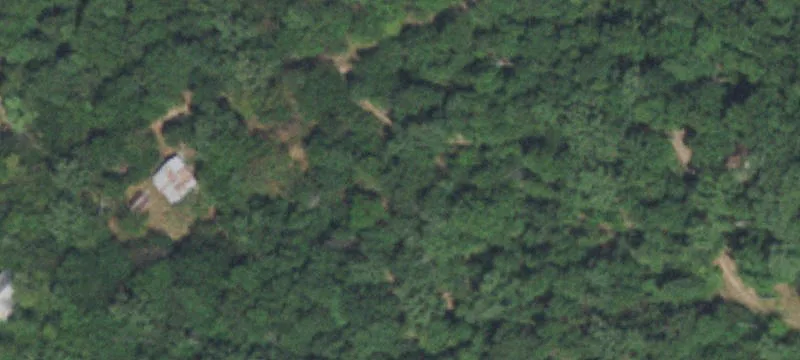 Recreational Hunting Land Tract